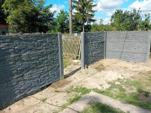 54